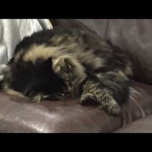 Meet your Posher, Sharon